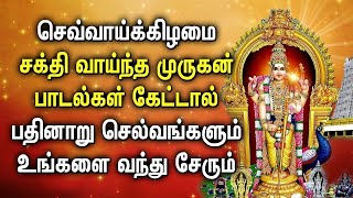 TUESDAY POWERFUL MURUGAN BHAKTI PADALGAL  God Muruga Songs  Best Murugan Tamil Devotional Songs [upl. by Natrav552]