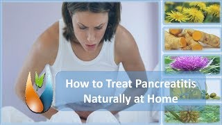 How to Treat Pancreatitis Naturally at Home [upl. by Heller]