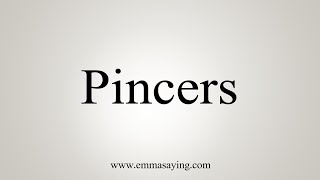 How To Say Pincers [upl. by Laise]