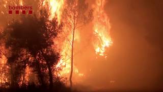 Consells dautoprotecció contra incendis forestals [upl. by Philemol]