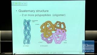 Bio Sci 93 DNA to Organisms Lec 9 Proteins and Nucleic Acids [upl. by Vitek]