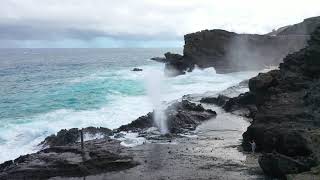 The Halona Blowhole Eruption Oahu Hawaii [upl. by Annaitsirhc]