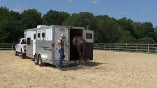 Horse Trailer Loading [upl. by Fougere]