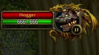 How hard is Hogger Hardcore Achievement 🤔 WoW Classic HC Challenge [upl. by Annaujat]