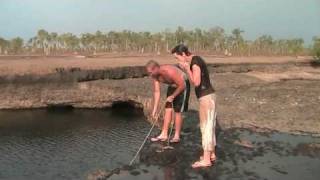 Cape York Tours Lakefield National Park [upl. by Mou]