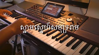 ស្នាមស្នេហ៍សមុទ្ររាម  Snam Sne Samut Ream  Cover by Mony Prak [upl. by Palecek220]