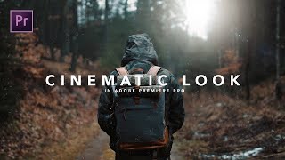 How to get the CINEMATIC LOOK in Premiere Pro Tutorial [upl. by Halilahk352]