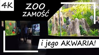 ZOO Zamość i jego AKWARIA 4K [upl. by Cryan656]