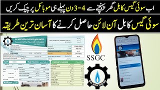 27 Sui Gas bill online Check 2024Sui Gas Duplicate billSNGPL bill Online [upl. by Mella518]