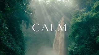 Relaxing Music for Stress Relief Calm Study  Beautiful Nature amp Water Sounds [upl. by Girvin]