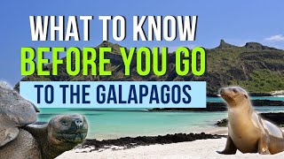 15 Things You Should Know Before You Go to the Galapagos Islands [upl. by Mcclelland]