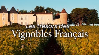 Les trésors des vignobles français  Documentaire [upl. by Jump977]