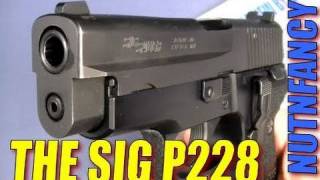 2017 Sig P228 Review Nutnfancy [upl. by Elleb]