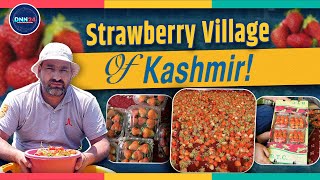 Meet Bilal Ahmad 12 Years of Strawberry Farming and Job Creation  Strawberry Village Of Kashmir [upl. by Yelak461]