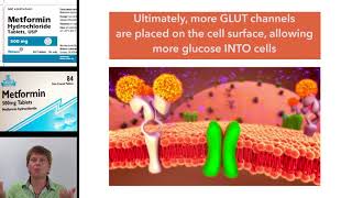 Understanding metformin the only biguanide [upl. by Akimihs]