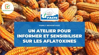 Burkina Faso  Un atelier pour informer et sensibiliser sur les AFLATOXINES [upl. by Gilbertson]