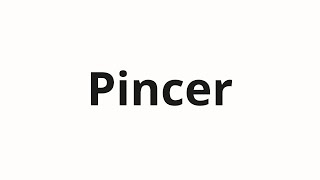 How to pronounce Pincer [upl. by Netsrijk709]