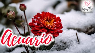 ACUARIO🌹QUE EMOCION 💍SE TE DECLARA🌹😲Horoscopo ACUARIO del 22 al 28 de enero🌹Tarot Guia Angelical [upl. by Nylekcaj]