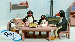 Pingu Loves His Family Pingu  Official Channel  Cartoons For Kids 🐧 [upl. by Camala65]