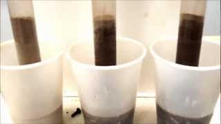 Class Demonstration of Capillary Rise [upl. by Namyl]