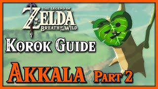 AKKALA Korok Guide  Part 2  The Legend of Zelda Breath of the Wild [upl. by Norword]