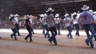 ONE HUNDRED line dance  Wild Country  Voghera 2017 [upl. by Aniakudo595]