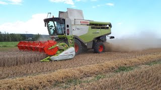 Claas Lexion 740 am Dinkel und Triticale dreschen LU Hörber [upl. by Cosme]