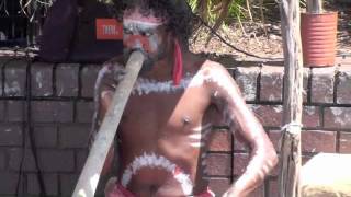 Aboriginal Didgeridoo Music at Circular Quay Sydney Australia [upl. by Auqinet]