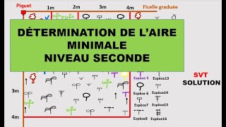 Comment déterminer laire minimale Niveau seconde [upl. by Bullen]