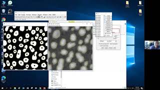 Introduction to Image Analysis with ImageJ  Segmentation Threshold [upl. by Welles]