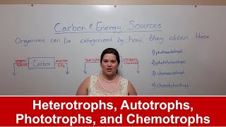 Heterotrophs Autotrophs Phototrophs and Chemotrophs [upl. by Aihsena]