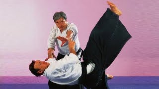 Aikido Technique [upl. by Coumas]