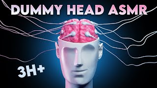 ASMR 360º DUMMY HEAD TRIGGERS The Ultimate 3D Tingle Compilation for Sleep amp Relaxation [upl. by Emory]