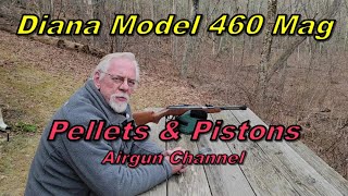 Diana 460 Magnum Air Rifle [upl. by Naryb]