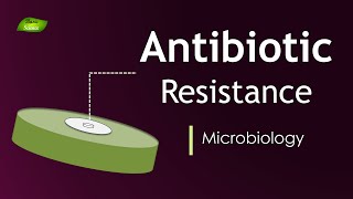 Mechanisms of NNRTI Resistance [upl. by Reivad]