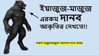 ইয়াজুজমাজুজ কি দানব আকৃতির সকল জল্পনাকল্পনার অবসান হবে আজ Bangla Waz  Bangla Islamic Video [upl. by Gibe]