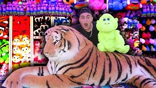 I Won Every Prize At A Theme Park MrBeast CHALLENGE [upl. by Einyaj]