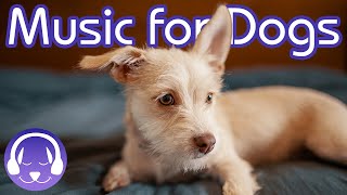 15 Hours of Soothing Music for Dogs INSTANTLY Calm Your Dog 2019 [upl. by Brothers]