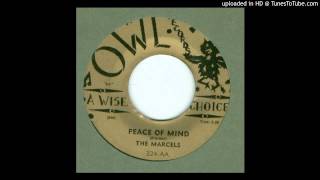 Marcels The  Peace of Mind  1961 [upl. by Lovato123]