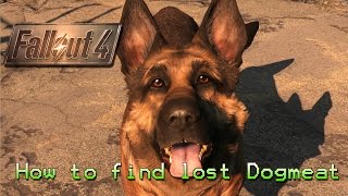 Fallout 4  How to find lost Dogmeat [upl. by Vaish]