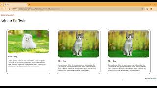 html amp CSS project  Create a pet adoption page using html amp CSS [upl. by Sigvard36]