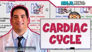 Cardiovascular  Cardiac Cycle [upl. by Wrdna188]