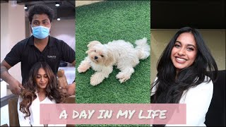 A DAY IN MY LIFE  Solo date  Got my hair coloured  Shreemayi Reddy [upl. by Oijile]