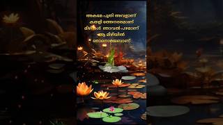 akame poothi avalan  ആ മിഴിയിൽ ഞാനൊരജബാണ് 💕   song malayalam  music sajeer koppam [upl. by Newcomb]