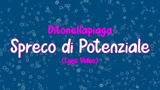 Ditonellapiaga  Spreco di potenziale Lyric Video [upl. by Izy]