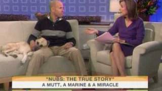 Nubs The True Story of a Mutt a Marine amp a Miracle on TODAY [upl. by Yeblehs921]