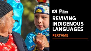 Saving Indigenous languages from extinction  The Drum  ABC News [upl. by Draner86]