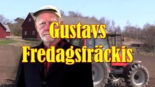 Gustav´s Fredagsfräckis [upl. by Ingalls]