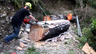 How to mill a tree using an Alaskan Chainsaw mill [upl. by Rokach]