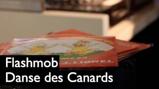 Flashmob  Danse des Canards  JJ Lionel  SaintJosse Brussels [upl. by Siroled]